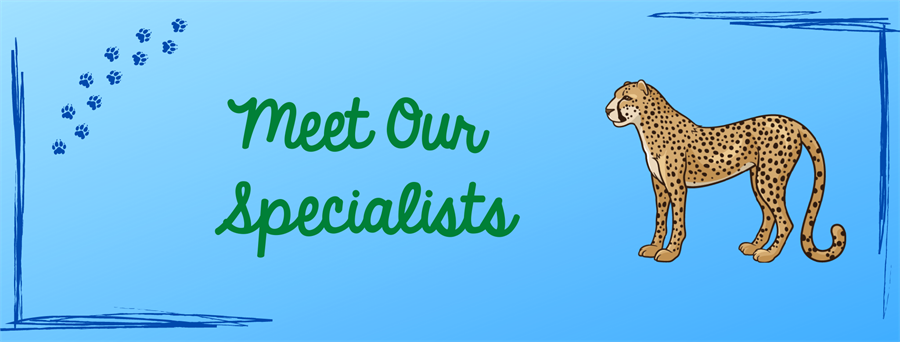 Banner: Meet Our Specialists